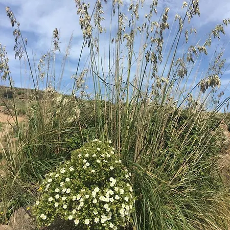 Dammusi Il Serralh -pantelleria- Scauri (Sicily)