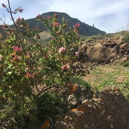 Holiday home Dammusi Il Serralh -pantelleria- *