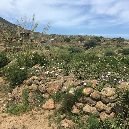 Dammusi Il Serralh -pantelleria- *