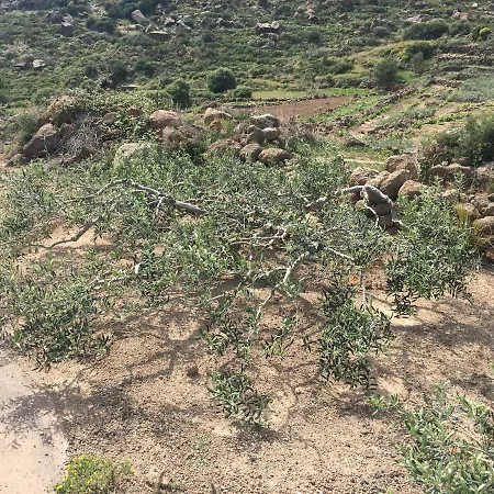 Dammusi Il Serralh -pantelleria- * Scauri (Sicily)