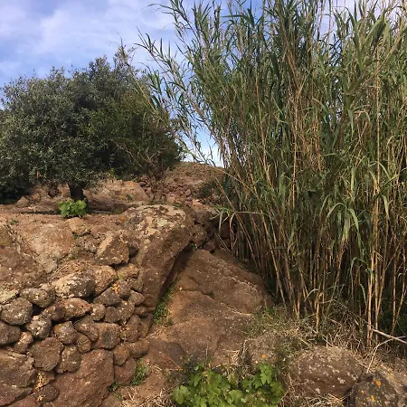 Holiday home Dammusi Il Serralh -pantelleria-