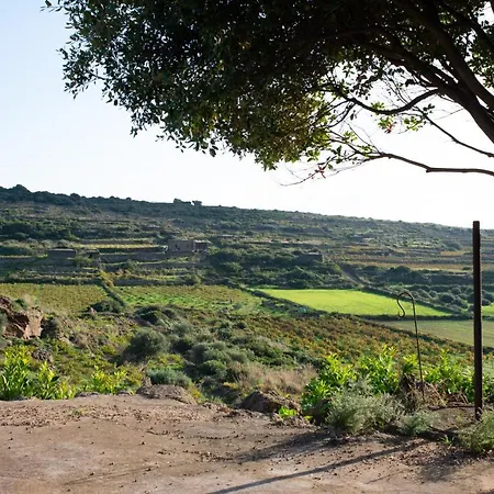 Dammusi Il Serralh -pantelleria- Holiday home Scauri (Sicily)